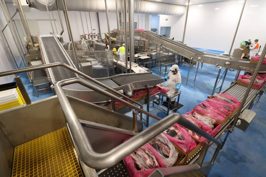 MEATY PACKAGE: The expansion package will see the existing boning room expanded, with an additional 200 full time jobs added to the existing 800 positions. Photo: Jacinta Dickins
