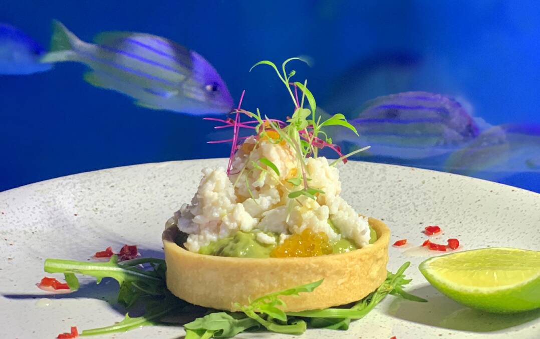 A prawn-and-avocado salad with a view ... an underwater view that is.