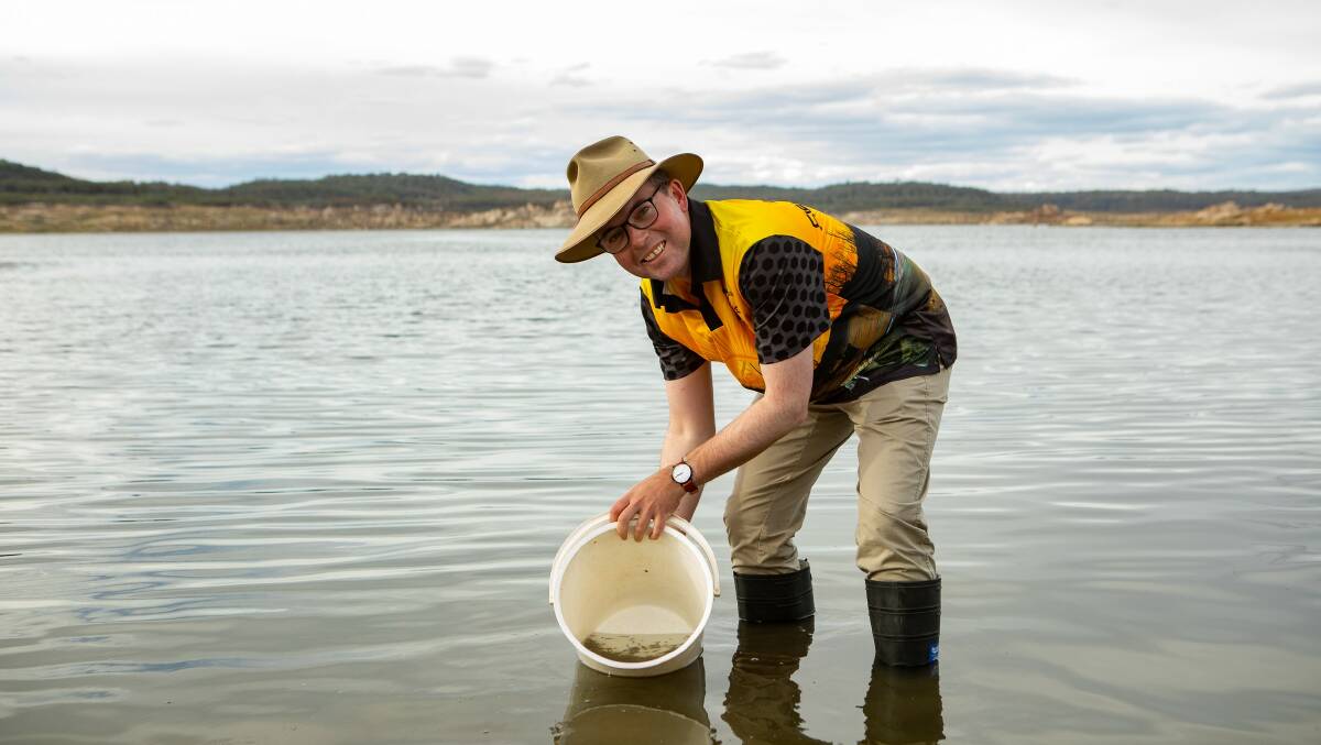 Minister for Agriculture and Member for Northern Tablelands releasing 25,000 Murray Cod fingerlings into Copeton Dam as part of the NSW Governments state-wide native fish re-stocking program. Photo supplied.