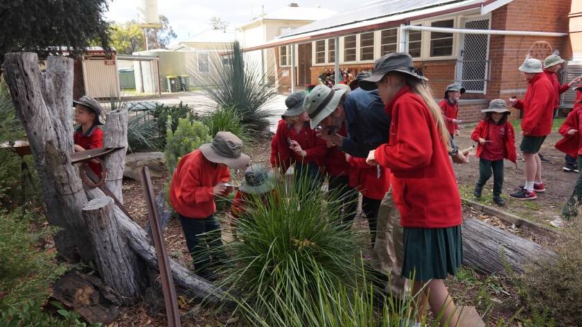 DISCOVERING NATURE: Faunaverse exploration in our playground. Gum Flat Public School is set in enviable physical surrounds.