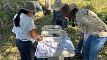 Producers looking at water samples during a coaching session in Glen Innes. Photo supplied