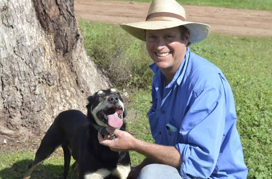 Delungra producer Matthew Ehsman with his (now retired) Kelpie Minute. Calm and confidence are key attributes when judging yard dog trials at the Inverell Show, Mr Ehsman says. Photo supplied.