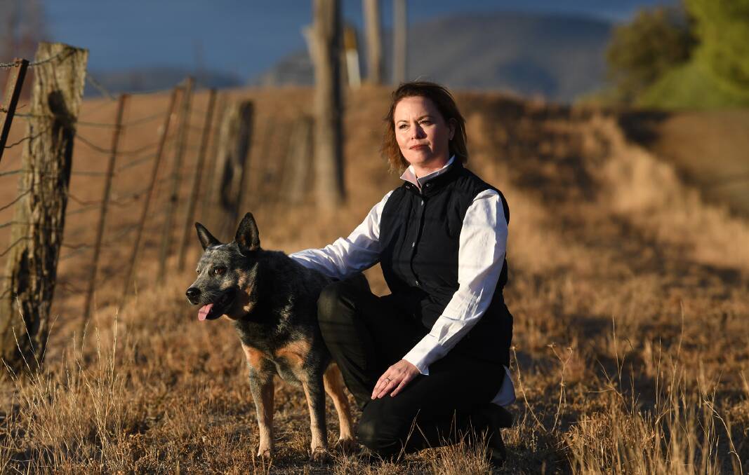 Dry times: Rural Financial Counsellor Sarah Goulden has never seen it rain in the Tamworth region, but is here to help farmers with all assistance needs as we all wait for the drought to break. Photo: Gareth Gardner