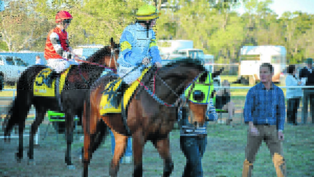 WINNING COMBO: The Peter Sinclair-trained Dungiven has been nominated for the Bingara Cup.