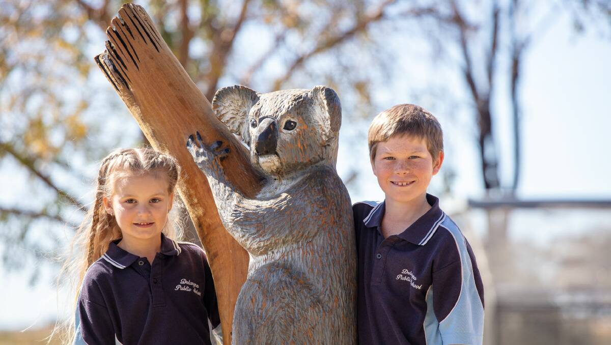 The kids at Delungra Public School are leading the way in building a better future for the local koala population.