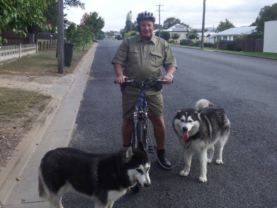 STAYING SAFE AROUND DOGS: Ian Stewart and his rescue dogs Marley the husky and Laska the malamute are a regular sight out and about.