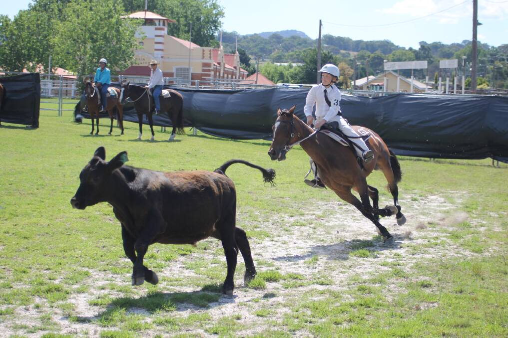 SPRING INTO ACTION: Pony clubbers will compete in the Zone 13 campdraft hosted by Glen Innes this weekend. It will run after the interclub on Saturday and Inverell host their interclub at the Glen Showground on Sunday. 