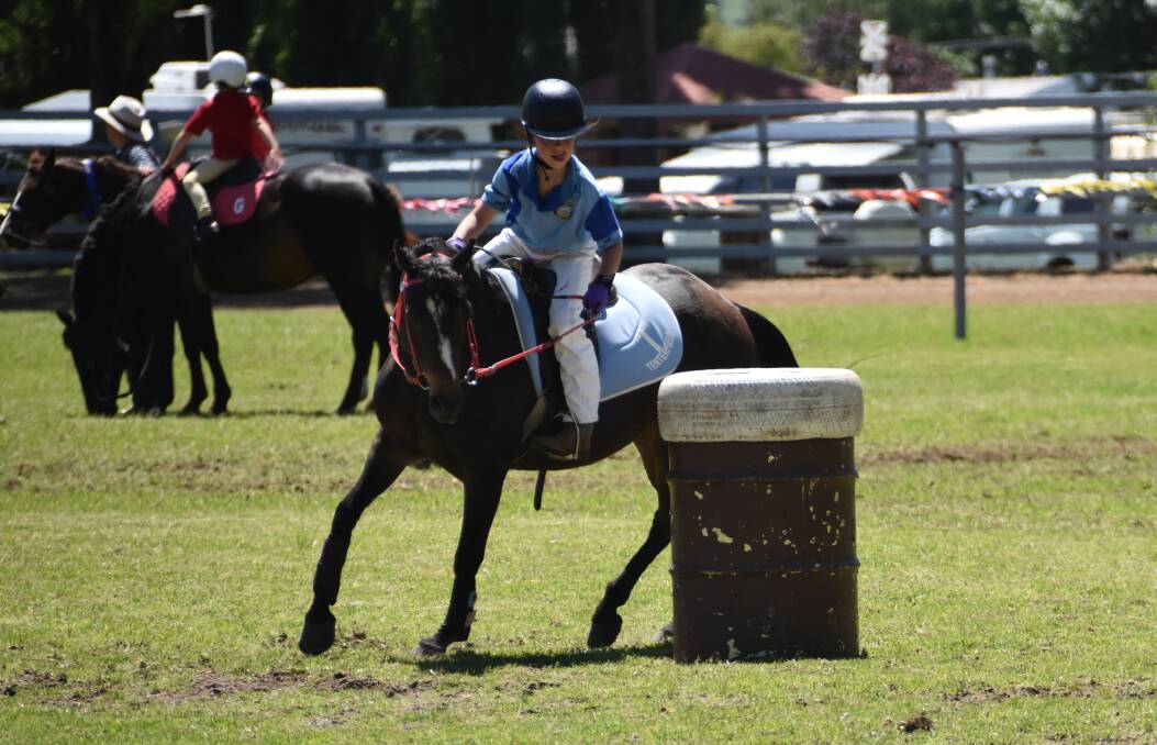 Tenterfield Pony Club will send a team to the annual Jamboree in Armidale. 