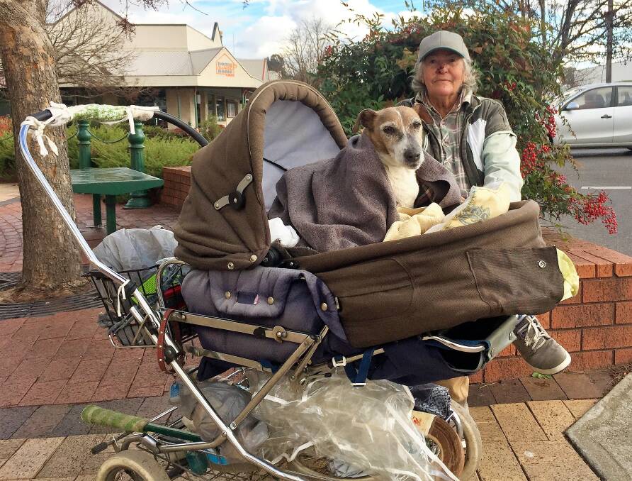 Two grand ladies: Sissy the Jack Russell and her human mum, Kathleen, have been together for 19 years. Photo: Heidi Gibson