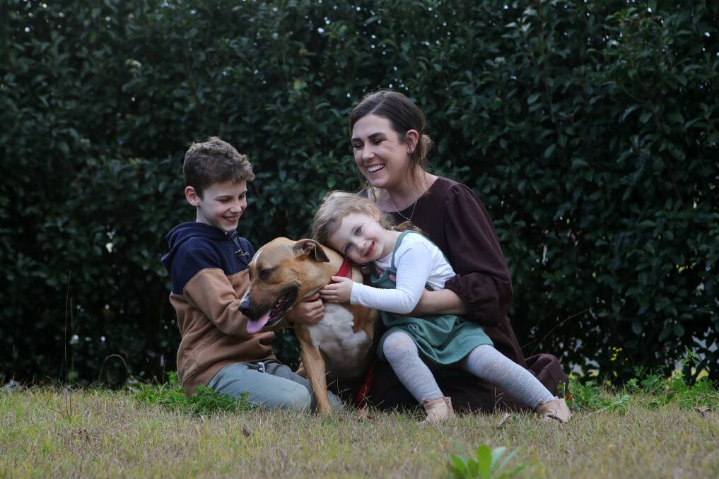 FOSTER CARE: Alia Reid and her kids, Thomas and Eloise, are caring for Scout who would love a new home. Picture: Sylvia Liber