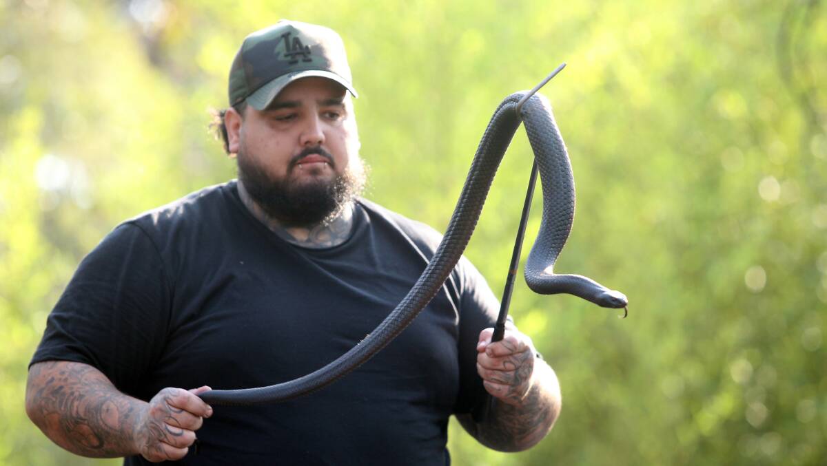 A snake handler with a red-bellied black snake with a number of bites reported already warn the Hunter New England LHD. 