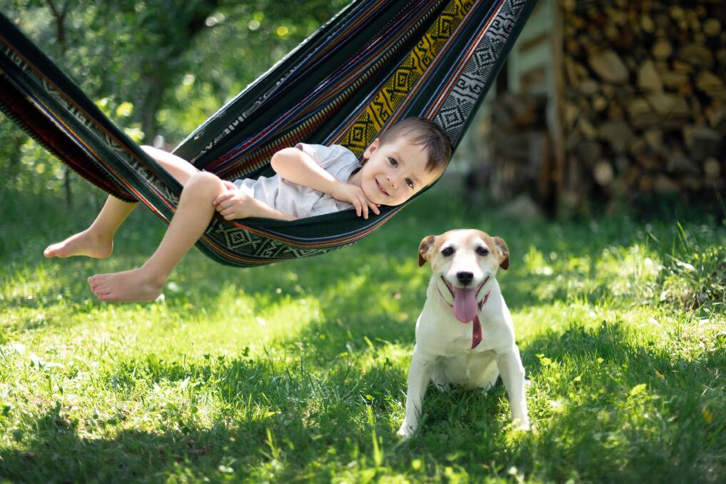 PERFECT COMPANY: Chillaxed days in the backyard call for a patch of grass in the shade, somewhere to hang, and whatever makes you happy. Photo: Shutterstock