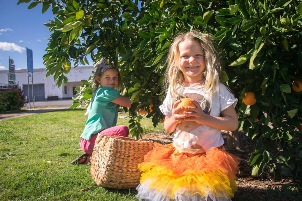 HAPPY PICKING: Caoimhe and Quinn Stamer at the 2017 festival. Photo: Simon McCarthy