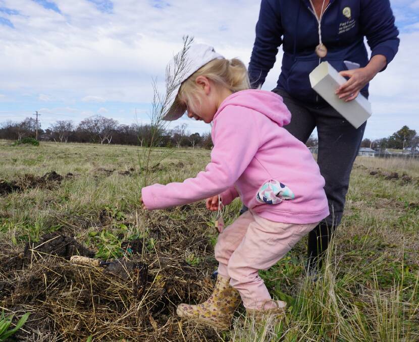 IN THE GROUND: A planting bee will be hosted at the community gardens. Photo: Supplied
