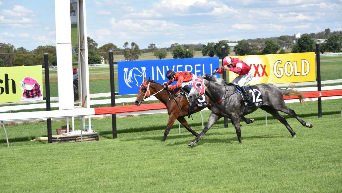 Racing returns to Inverell with the Battlers Cup