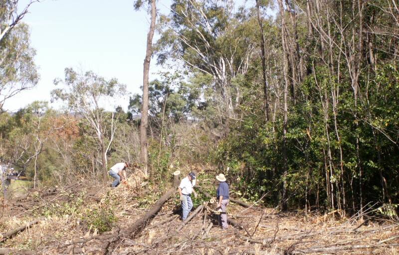 Clearing the scrub in 2011. Photo courtesy of Inverell East Rotary Club.