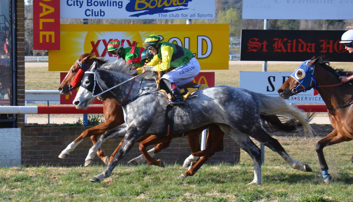 Right on time: grey Azzalin thunders in beside Moonlight Spy. It was the second dead heat win for Azzalin, but only the first for the Armidale race course. 