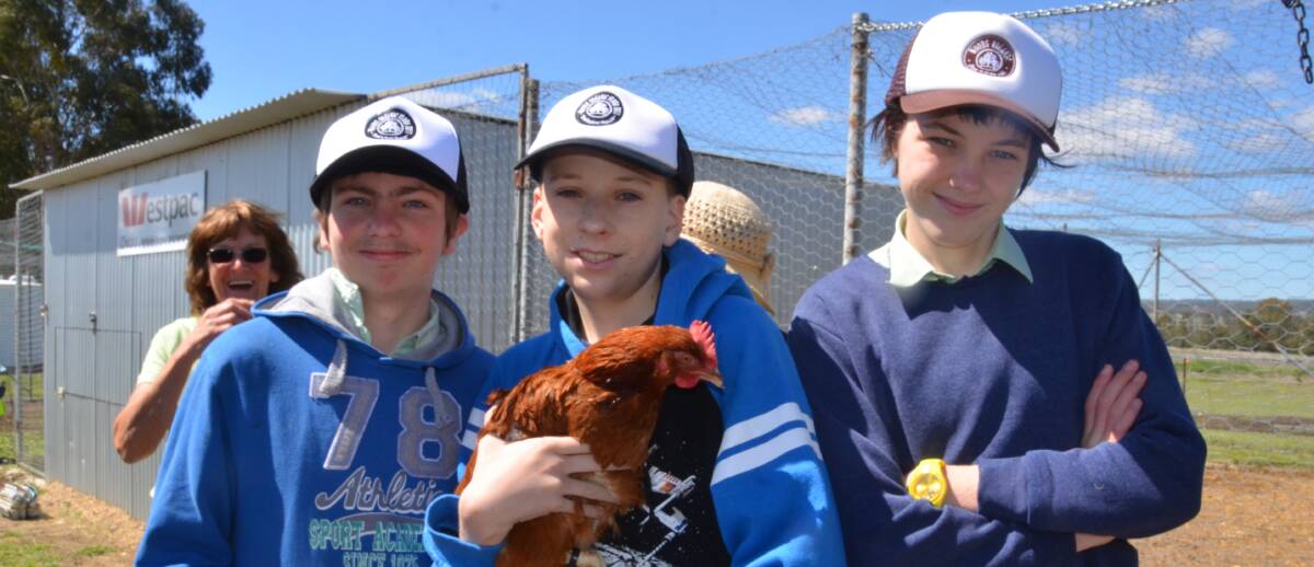 Luke Goodwin, Nathan McCormack and Jake Durbin had fun petting the chickens.