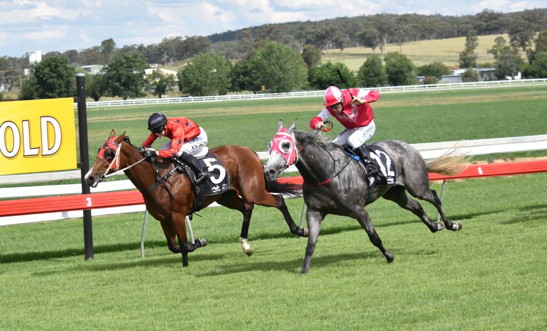 A battle for first place in January's Don Bartlett Memorial Bush Battlers Cup. Photo by Ben Jaffrey. The August 11 race will be the Inverell Jockey Club's first for this season.