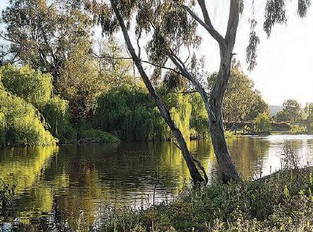 The Gwydir River is one of Bingara’s greatest assets. Keeping the river beautiful for everyone’s enjoyment is a priority, and volunteers are welcome to clean up the river, the town and surrounding areas.