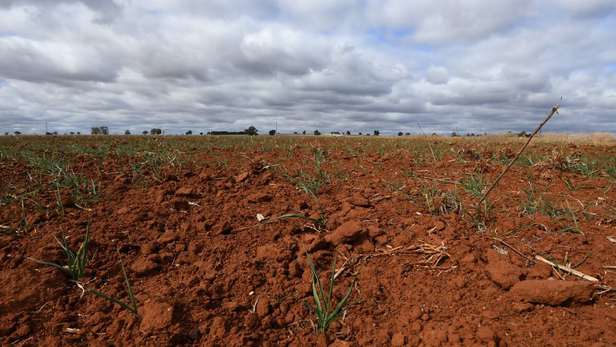 Drought assistance extended for local councils