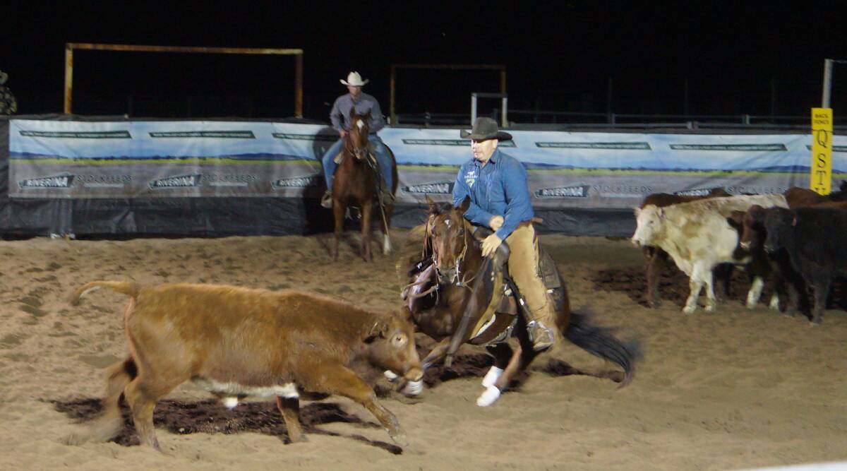 A previous North Star horse cutting event.