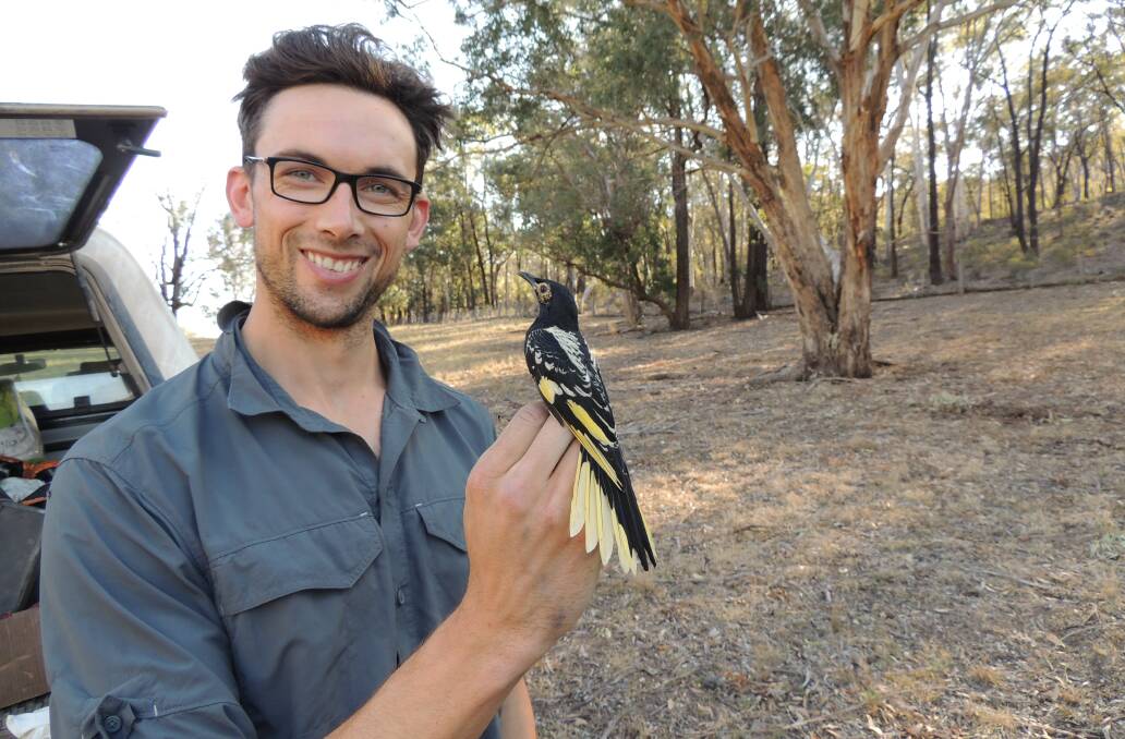 ANU researchers were thrilled to find a breeding group on a roadside stock route in Kings Plains National Park, close to the Severn River in 2016.