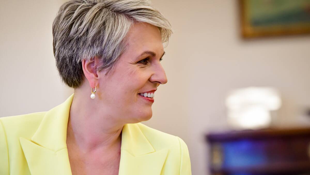Environment Minister Tanya Plibersek at the swearing-in ceremony of the new Albanese government front bench. Picture: Elesa Kurtz