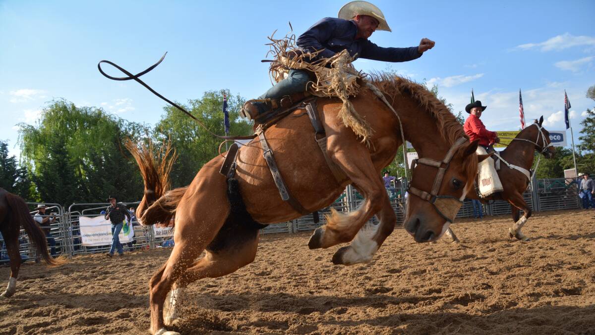 RIDE ON: Entertainers, riders and musicians are preparing to show off their skills at the The Uralla Thunderbolt's Festival and Thunderbolt Rodeo for the crowds. 