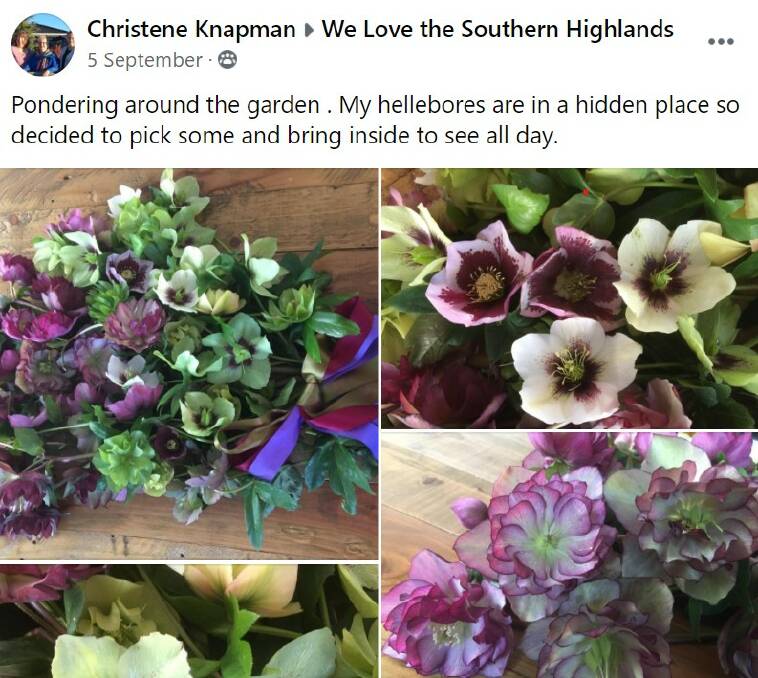 Members like Christene Knapman regularly share their triumphs in the garden or the kitchen, while others focus more on travel photos or bushwalks.