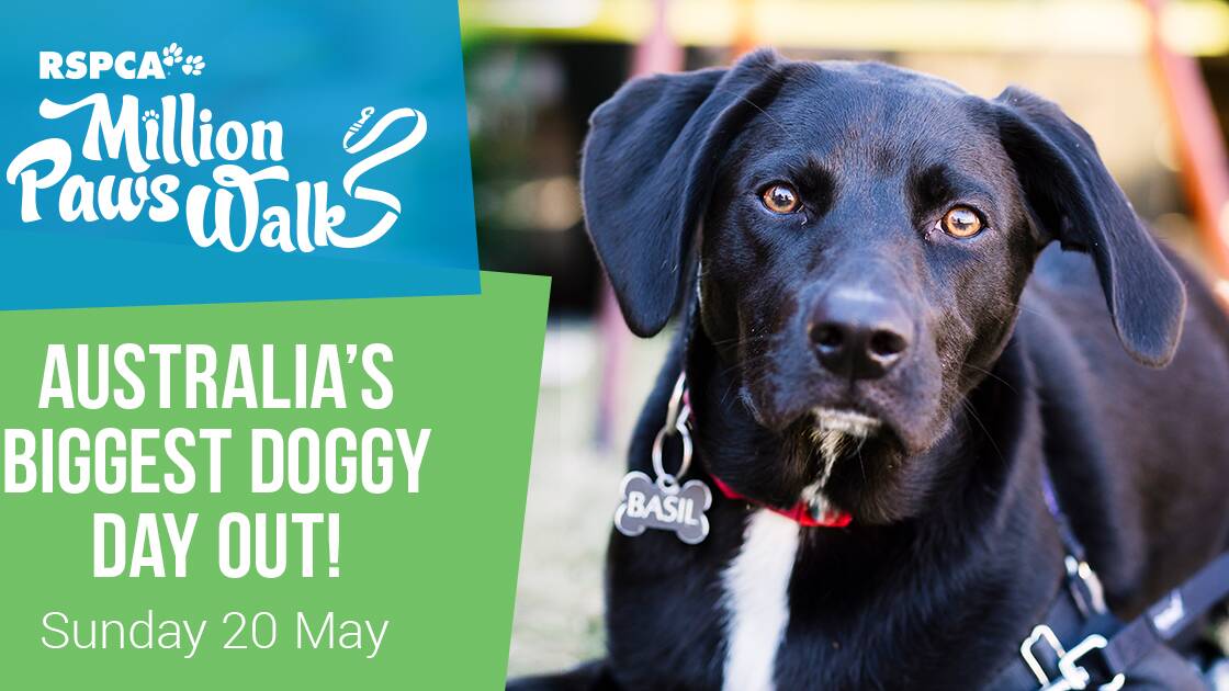 Four-legged, furry friends invited to Million Paws Walk in Inverell this Sunday