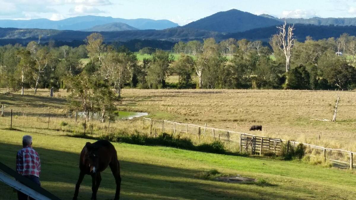 Kyogle farmer offers free agistment to farmers out west facing dry times