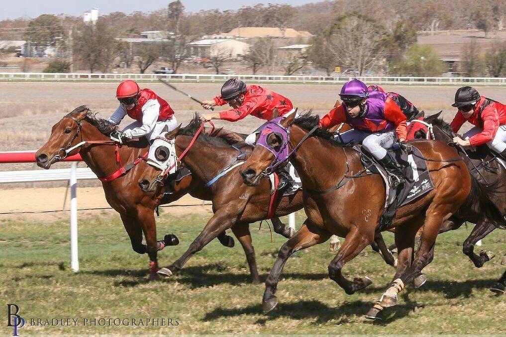 Thrilling chase: Commander Bam battles Just A Dame. Admission prices have been reduced so head trackside in Inverell this weekend to see plenty of action-packed racing. Photo by Bradley Photographers.