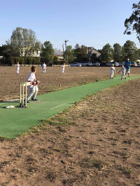 Junior cricket: Under 10's improve fielding skills at Brooks Oval