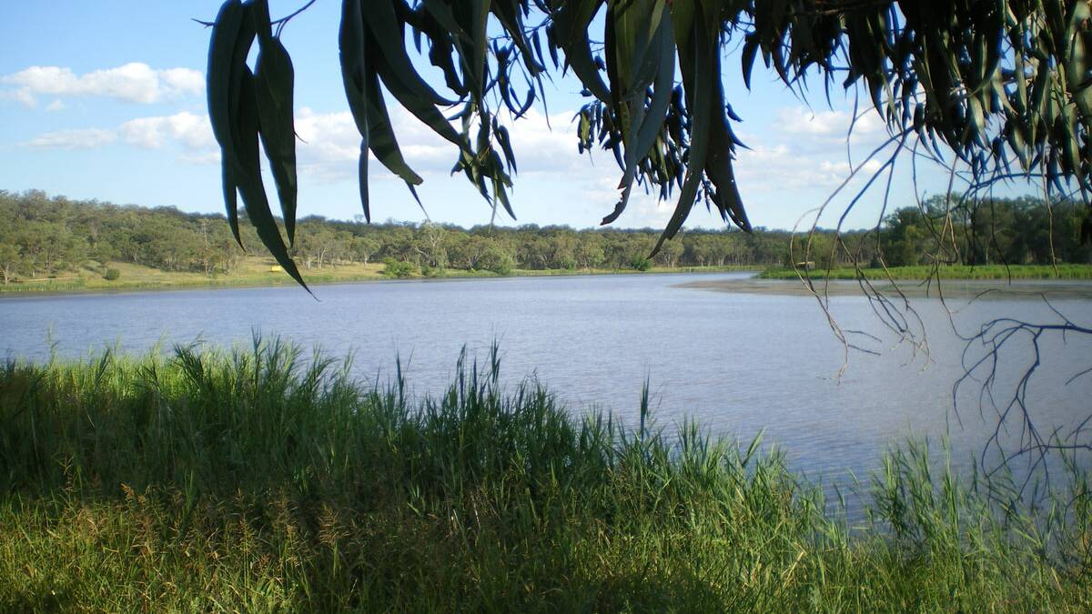 Blue-green algae red alert issued by WaterNSW for Lake Inverell