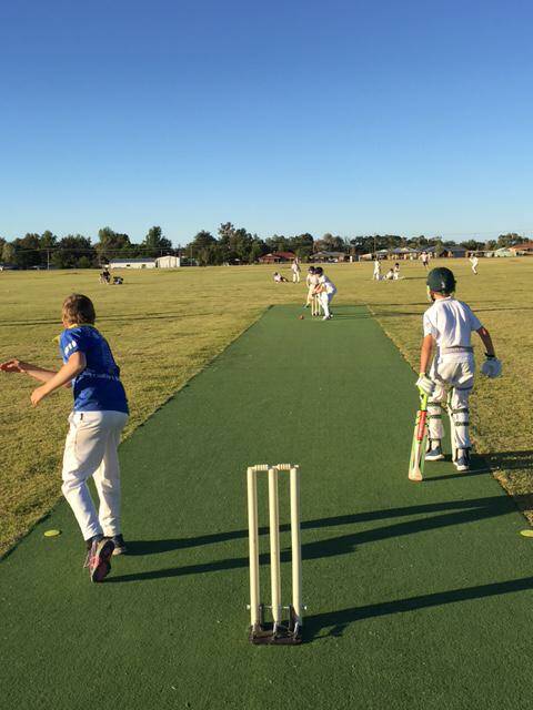 Junior cricket: Under 10's improve fielding skills at Brooks Oval