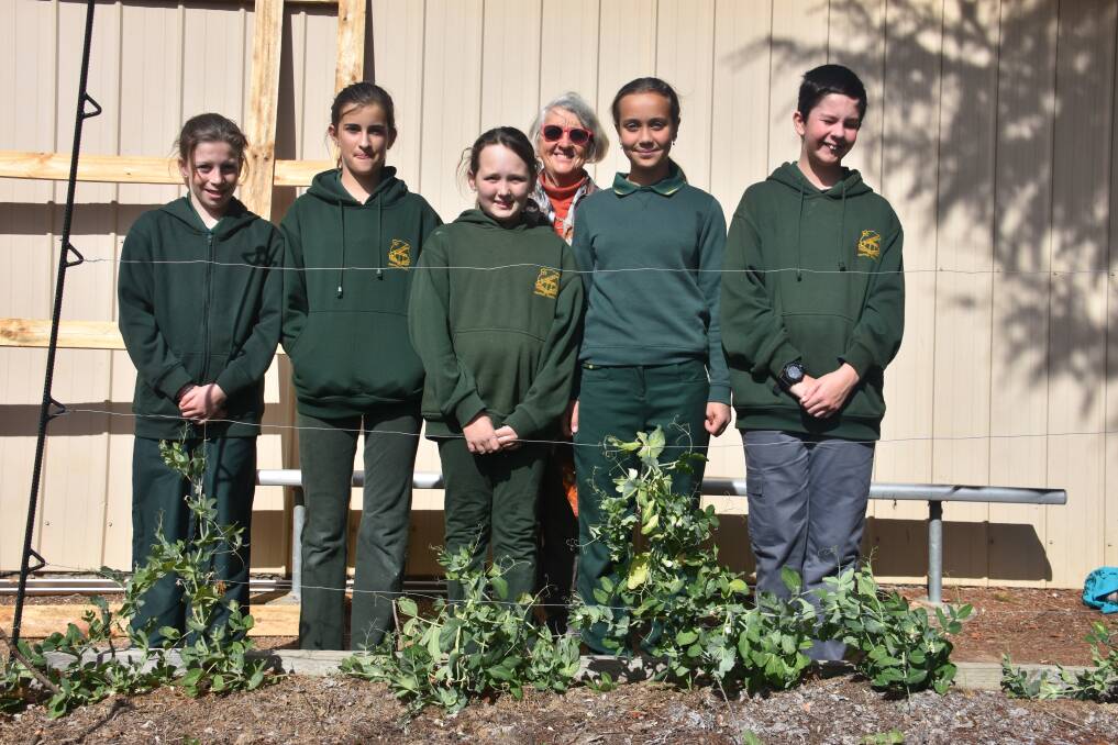 Bundarra Central School's Hayley Azzopardi, Kayley Smith, Maddison Harper, Sarah O'Grady and Andrew Fox with teacher Pam Doak (back).