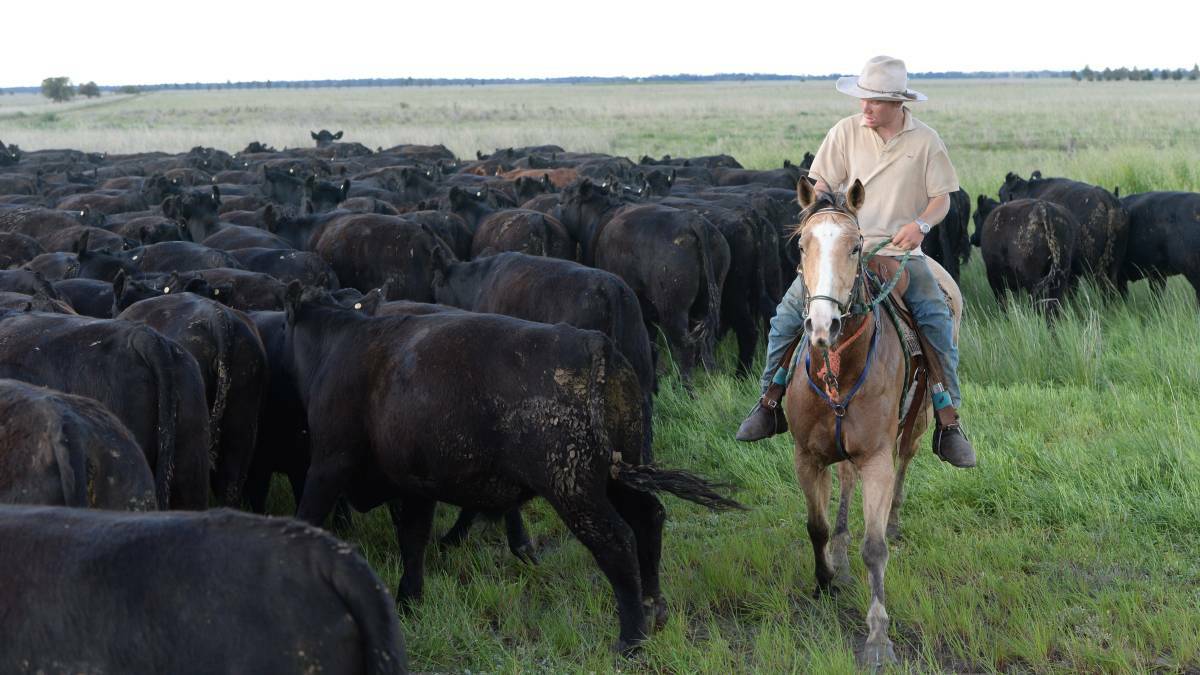 Local graziers given more time to move stock