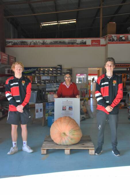 Take your best guess: Inverell High School Year 12 students Kai Garrett, Billy Tyne and Inverell Breast Cancer Support Group president Trish Keightley (back) standing with the huge pumpkin stationed at Elders Inverell.