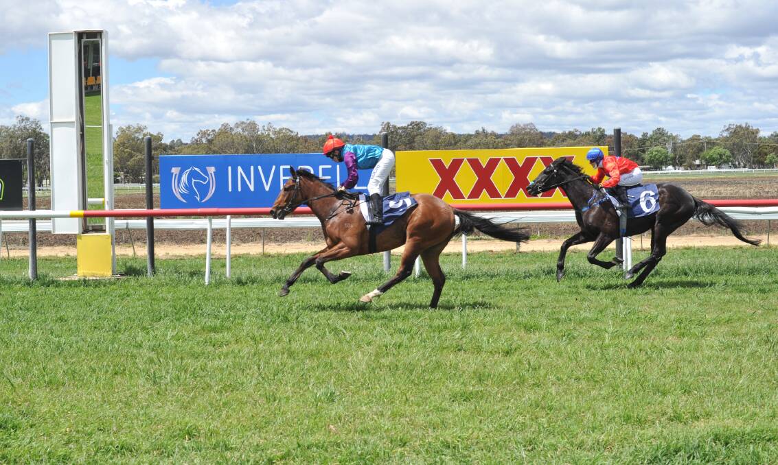 Home track success: Magic Mia cruises to the line to kick-start a winning weekend for her Inverell trainer Dean Smith. Photo: Bradley Photographers