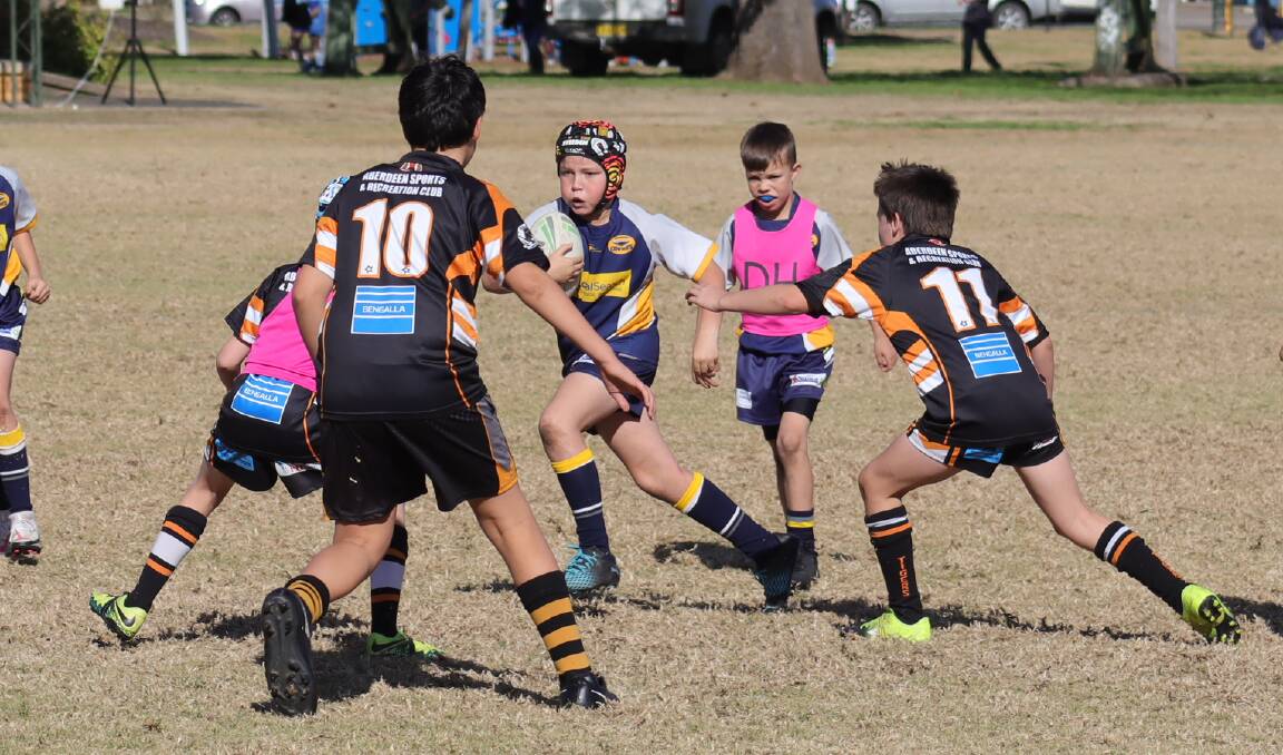 Growth: Rugby league is one of now 11 sports programs offered by the Northern Inland Academy of Sport.