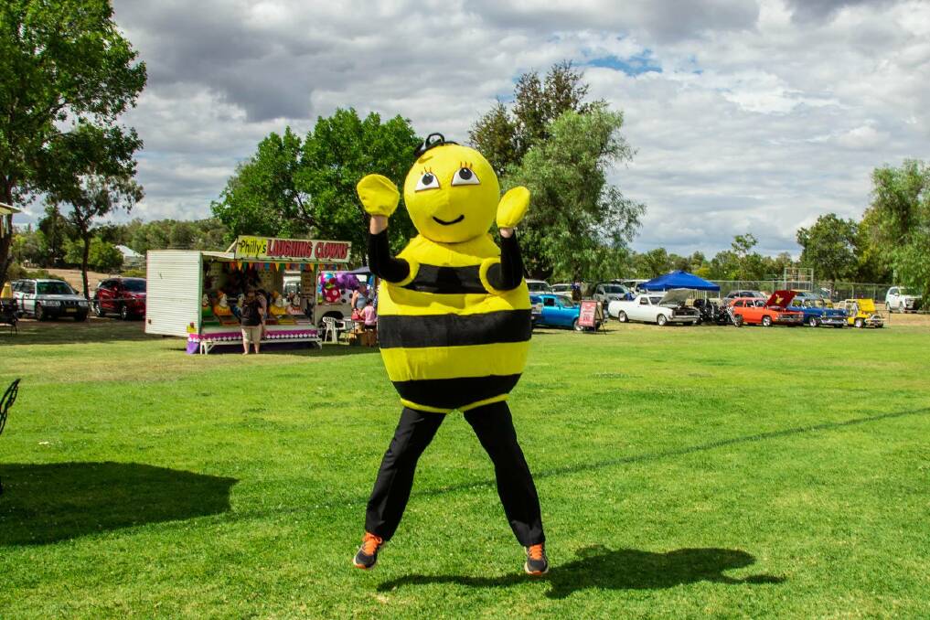 Bieber the Bee is eager to get back into the swing of the Warialda Honey Festival. Photo: supplied
