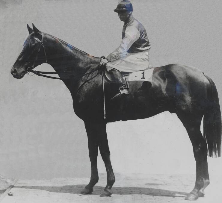 Poitrel (pictured) carried 10 stone to the finishing post to win the 1920 Cup and it's quite a story how two brothers won Australias greatest race.