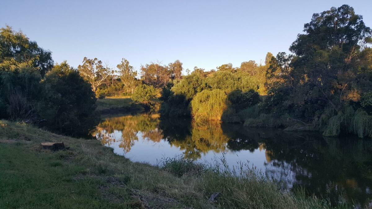 Projects on the Macintyre River could receive funding through the NSW Fencing Northern Basin Riverbanks Program.