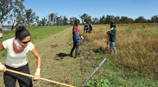 The loss of 100,000 backpackers is putting pressure on farmers across NSW heading into spring.
