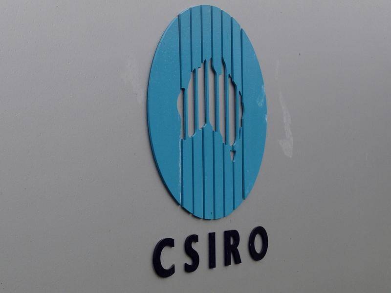 Environmental groups have criticised the inclusion of carbon capture and storage in a CSIRO report. (Alan Porritt/AAP PHOTOS)