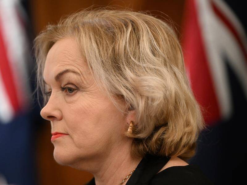 NZ Defence Minister Judith Collins has revealed a cyber attack based in China's Hainan province. (Joel Carrett/AAP PHOTOS)