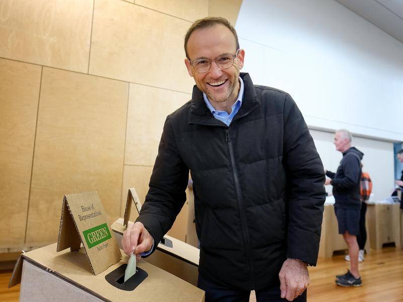 Adam Bandt has been re-elected leader of the Greens at the party's first post-election meeting.