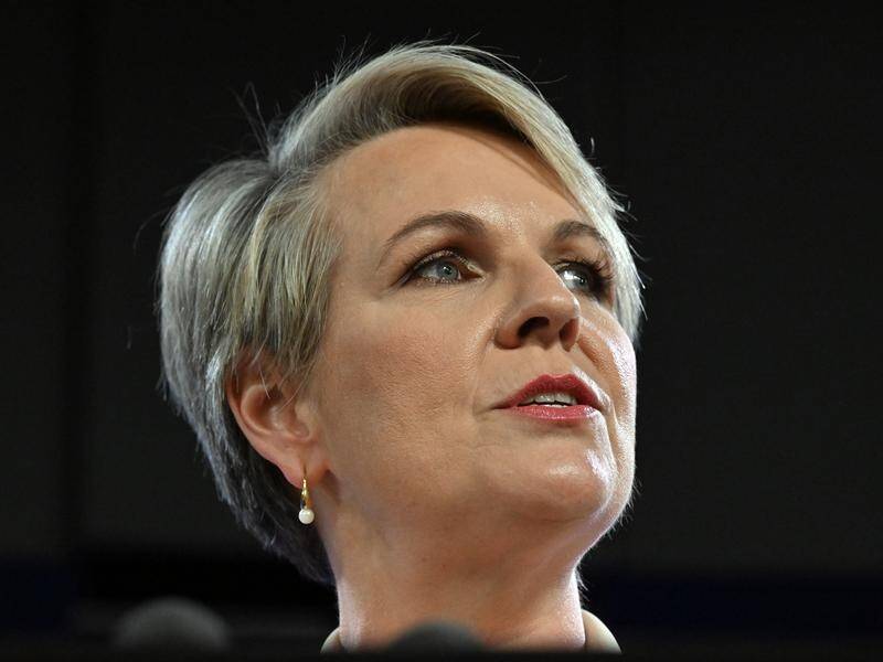 Federal minister Tanya Plibersek says current laws are failing to protect the environment.