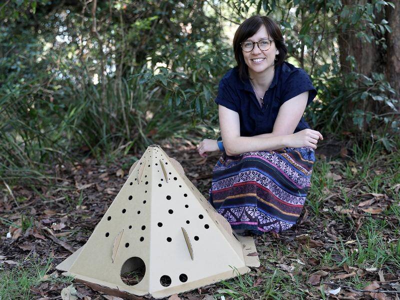 Mammal ecologist Alex Carthey hopes her tiny flat-pack home will help protect animals after fires.